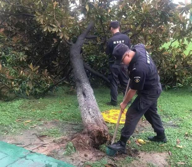 C:/Users/BA/Desktop/風(fēng)雨過后南京保安迅速行動(dòng)，恢復(fù)安“寧”面貌/10.jpg10