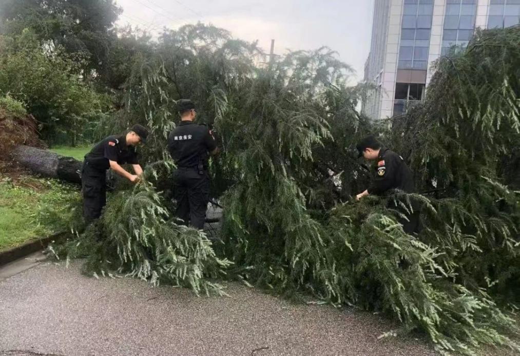 C:/Users/BA/Desktop/風(fēng)雨過后南京保安迅速行動(dòng)，恢復(fù)安“寧”面貌/1.jpg1